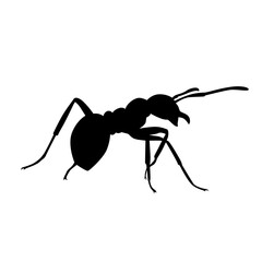 ant silhouette