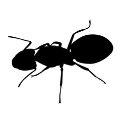 ant silhouette