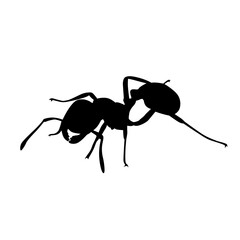 ant silhouette