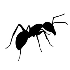 ant silhouette