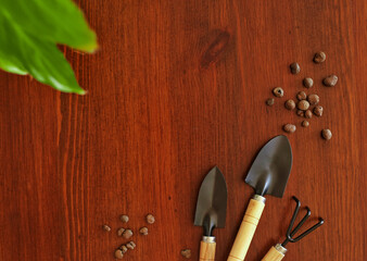 Gardening tools. A shovel, a rake for indoor plants on a brown wooden background. Place for text