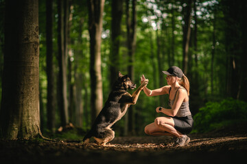 Friendship with a dog adopted from a shelter. A dog and its owner in the forest.
