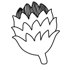 Obraz premium Artichoke