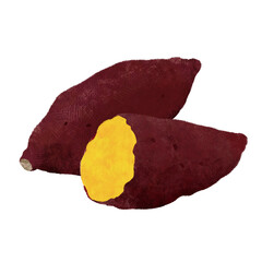 サツマイモのイラスト