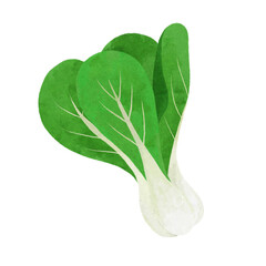 チンゲンサイのイラスト