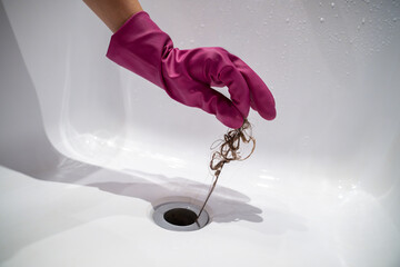 Hand of woman in pink rubber glove taking of hair clump from water drain, blocked pipe in bath. Woman cleaning sewer trap. Bath plug hole blocked with dirt. Problem with shower sewerage in bathroom. - obrazy, fototapety, plakaty