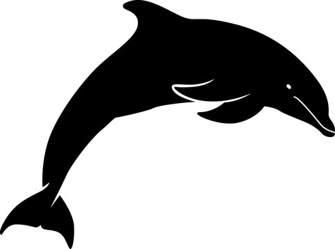 recommend clip art: dolphin silhouette