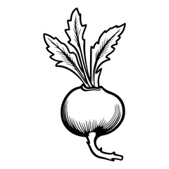 Beetroot black glyph icon, Natural vegetable sign. Healthy, organic food concept, silhouette. Fill solid icon. Modern design. Vector illustration. Vegetables.