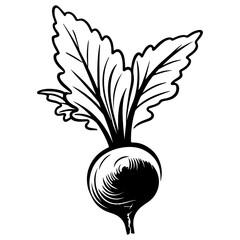 Beetroot black glyph icon, Natural vegetable sign. Healthy, organic food concept, silhouette. Fill solid icon. Modern design. Vector illustration. Vegetables.