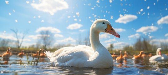 Obraz premium Goose on water lake. Generative AI technology. 