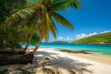 Scenic beach with turquoise waters, golden sand, sunny sky, palm trees, paradise nature, summer getaway, travel. Generative AI