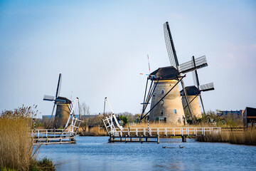 Naklejka premium windmills across the river in the netherlands