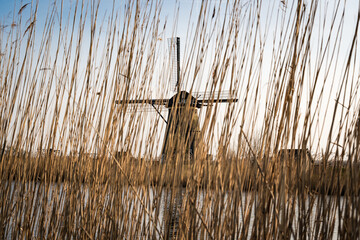 dutch windmill in the country behind high grass
