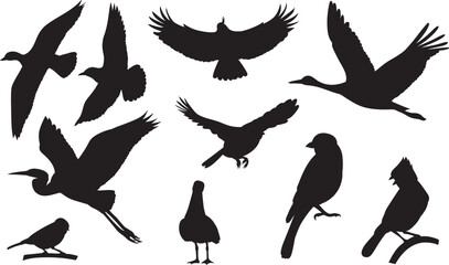 silhouette of birds set, on a white background, vector