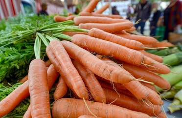Einkaufen auf dem Wochenmarkt: Blick auf eine Auswahl an knackigen Karotten und Bundmöhren an...