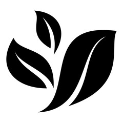 illustration of leaf