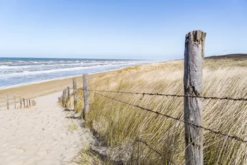 Photo sur Aluminium Mer du Nord, Pays-Bas path to the sandy beach at the north sea