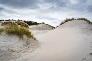 Crédence de cuisine en verre imprimé Mer du Nord, Pays-Bas sand dunes in the morning at Schoorlse Duinen,