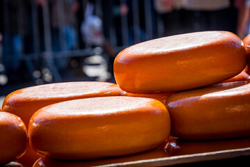 close up of cheese loafs at alkmaar market