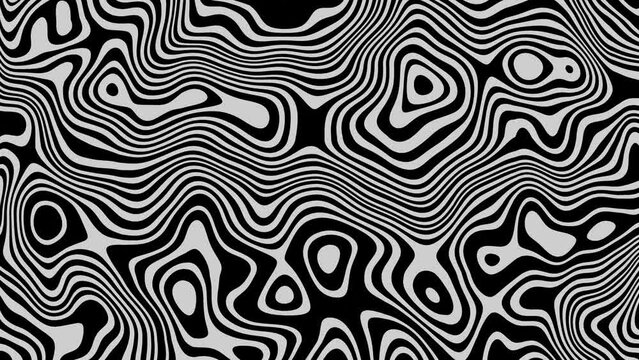 abstract white and black line wave motion graphics background