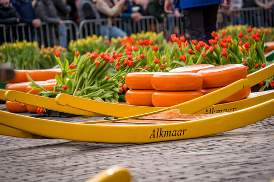 dutch cheese market at alkmaar