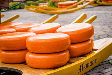 whole gouda cheese on wooden barrows at alkmaar cheese market