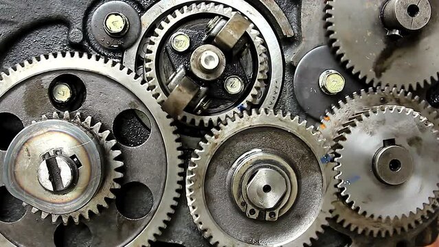 Group of gears working in the machinery