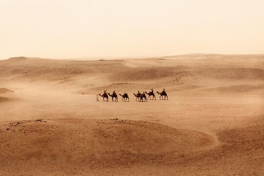 Tourists on Silk Road