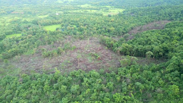 lots of  trees have been cut down in the forest malvan drone shot