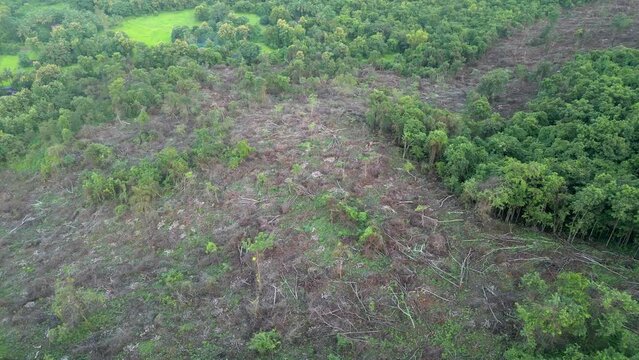 lots of  trees have been cut down in the forest malvan drone shot