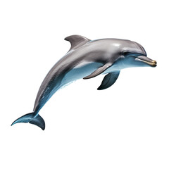 Dolphin real isolated on transparent backgound