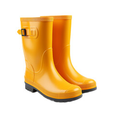 Rain Boots isolated on white backgound