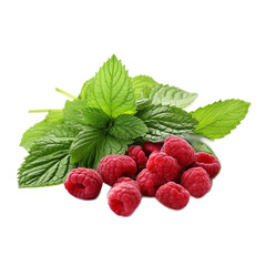 Raspberry Leaves isolated on white background
