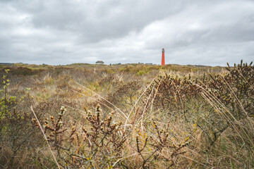 panorama panorama view on nature and red lighthouse of dutch island schiermonnikoog