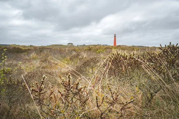 Selbstklebende Fototapete Nordsee, Niederlande panorama panorama view on nature and red lighthouse of dutch island schiermonnikoog