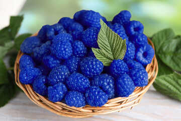 Many fresh blue raspberries in wicker bowl on table, closeup