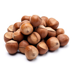 Obraz premium Acorns isolated on white backgound