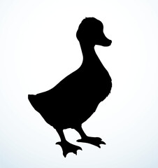Cute duckling. Vector outline drawing