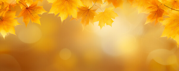 Obraz na płótnie Canvas Autumn maple leaves decorative composition with copyspace