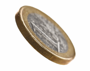 Euro coin fly isolated on white, macro