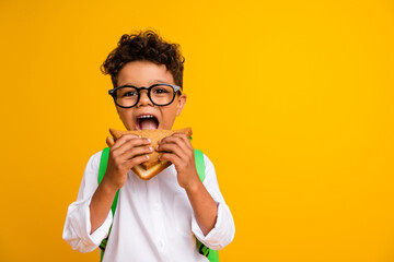 Portrait of small hungry schoolchild eat bite tasty sandwich empty space advert isolated on yellow color background