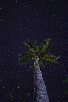 Star Gazing