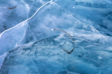 Winter natural ice texture of frozen Baikal Lake in cold day. Water plant of green alga in blue ice. Volumetric structure of thick blue pure ice. Natural background, mock up, copy space, blank