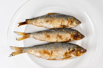 Savory autumn grilled gizzard shad