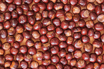 Horse chestnut. Autumn background, chestnuts on an orange background, top view. Chestnuts are laid out in one layer on the table. Texture. Horse chestnuts from different sides