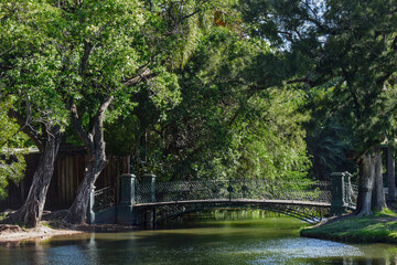 Fototapeta na wymiar A bridge in the park