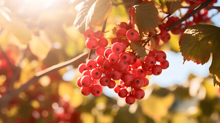 Hello autumn guelder rose tree. AI generated image.