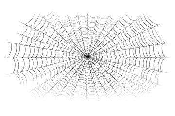 spider web Halloween isolated on white