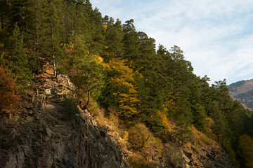Fototapeta na wymiar Autumn picturesque mountain landscape. Rocky mountains with growing trees near the cliff.