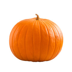 Pumpkin tranpsparent